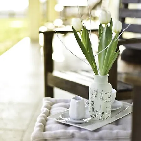 Calligaris 도브로보