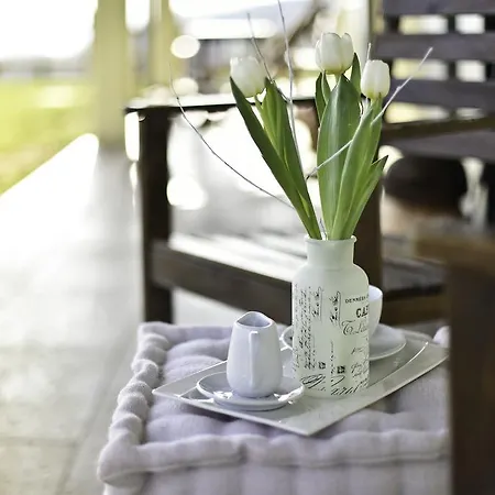 Calligaris Dobrovo