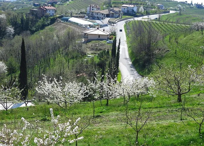 Calligaris 3* Dobrovo